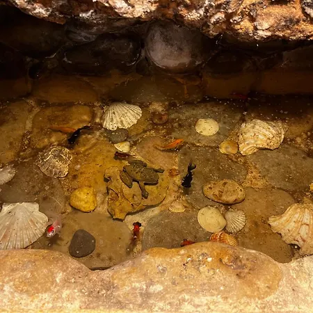 Casa De La Fuente Alcorisa